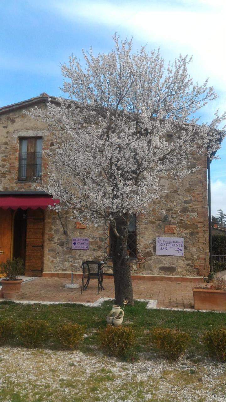 Country House La Fattoria Bellandi Contignano Extérieur photo